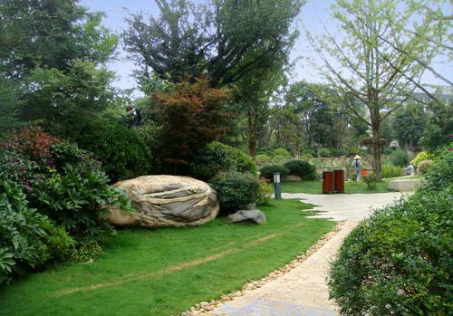 施工現(xiàn)場實(shí)拍 #園林綠化工程 #工地實(shí)景拍攝 一壺老酒入.