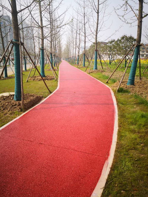 丹陽小區道路施工哪個好