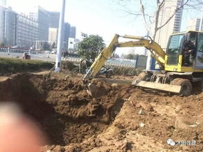 取消園林綠化施工資質,如何加強園林企業資質管理