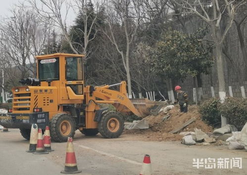 青島市區園林綠化工程有序復工，施工人員忙碌建設美麗家園
