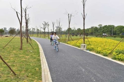 綿陽(yáng)再添綠色新名片 大型公園試開(kāi)園，園林綠化工程圓滿竣工