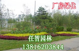 上海優質廠區綠化服務與園林綠化工程施工指南